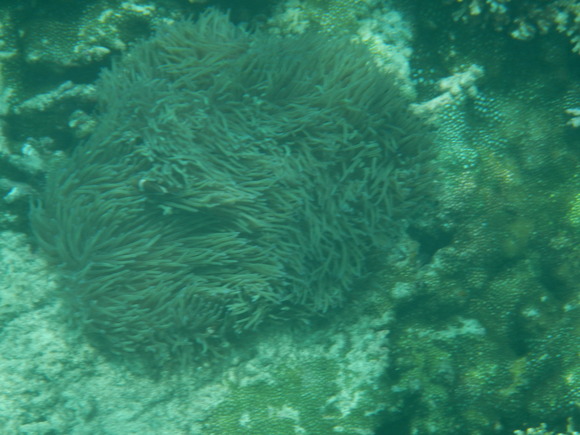 e0218625_2133306.jpg
