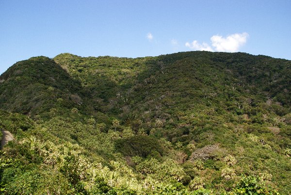 b0211627_2225374.jpg
