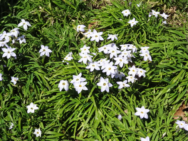 e0016828_1517160.jpg