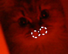 e0157129_19292321.jpg