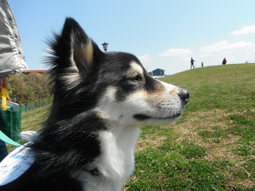 a0155430_1327316.jpg