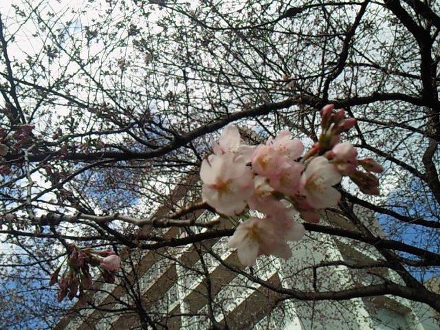 c0025033_21164588.jpg