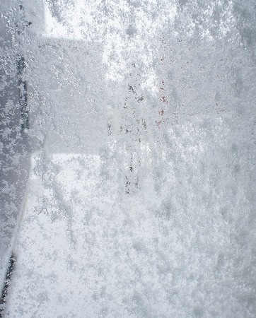 f0205733_15554923.jpg