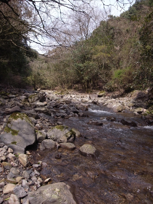 a0156834_2314840.jpg