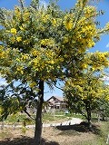 f0167635_744539.jpg
