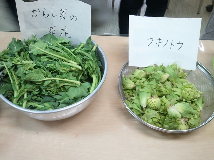 a0200436_1010655.jpg