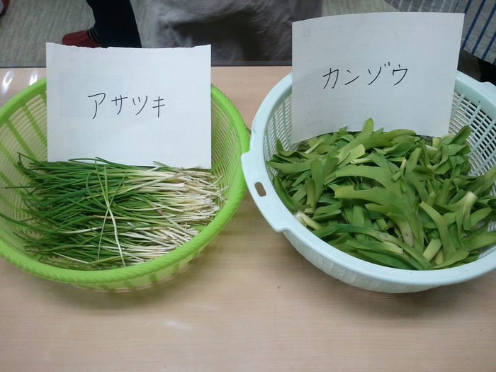 a0200436_1011453.jpg