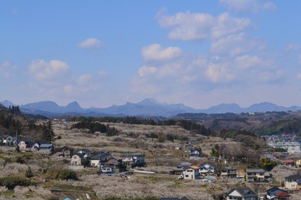 e0228938_19531057.jpg