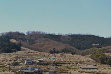 e0228938_19553492.jpg