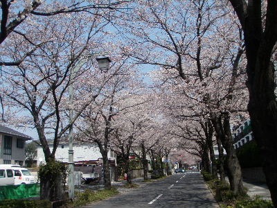 a0054240_2172794.jpg