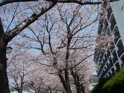 a0054240_2174469.jpg