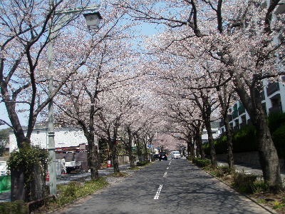 a0054240_2175910.jpg