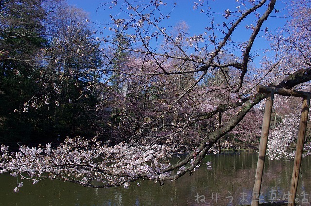 a0009142_22291474.jpg