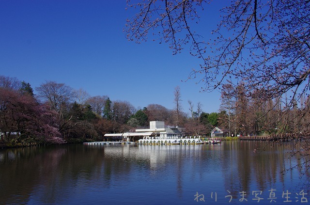 a0009142_22291647.jpg