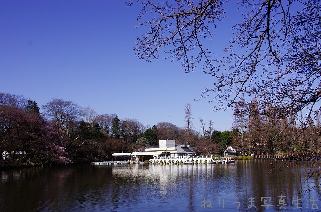 a0009142_22292043.jpg