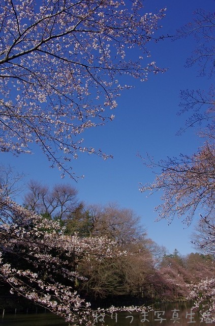 a0009142_2229924.jpg
