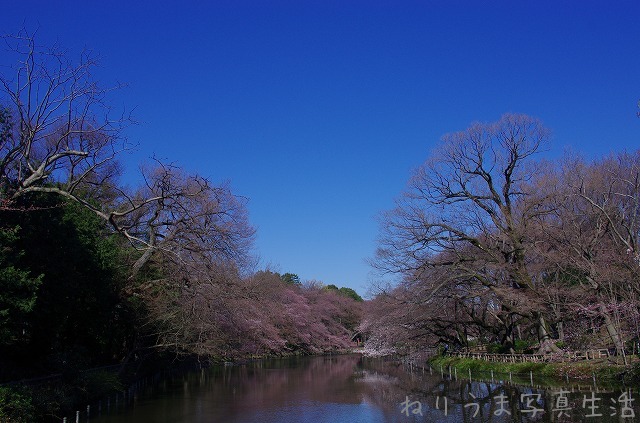 a0009142_2229952.jpg