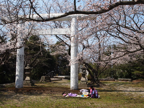 f0183846_176889.jpg