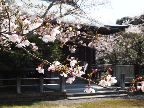 f0183846_1783598.jpg