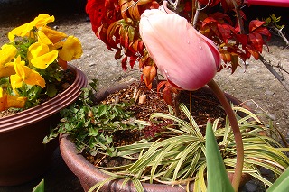 b0200747_22232845.jpg