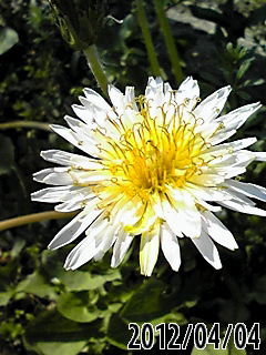 b0200747_22254135.jpg