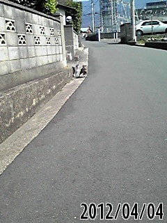 b0200747_22263013.jpg