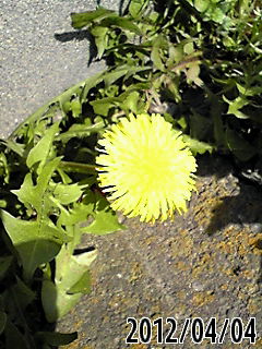 b0200747_22292458.jpg