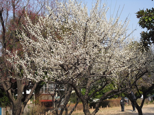 b0232447_209492.jpg