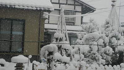 c0220047_13494495.jpg