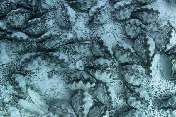 e0194450_5362181.jpg