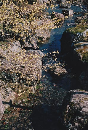 e0156251_22265324.jpg