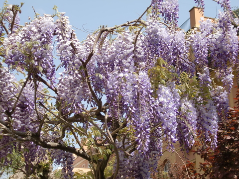 c0206352_2127457.jpg