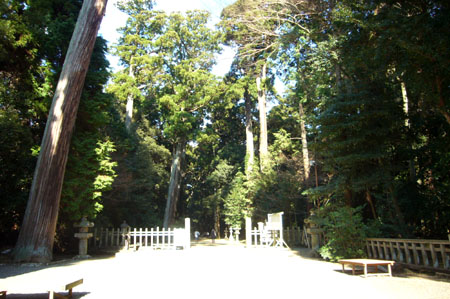 f0105054_13292420.jpg