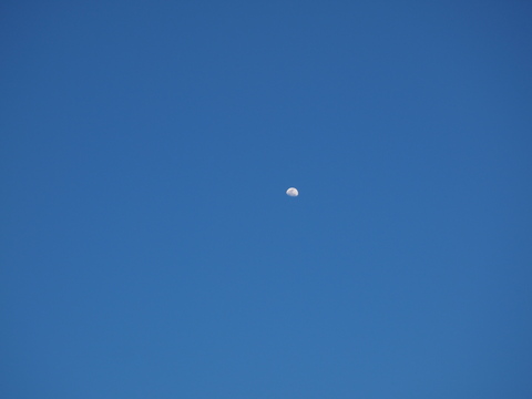 a0212656_239385.jpg