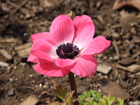 e0088260_0222170.jpg