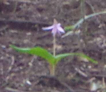 b0061261_21465477.jpg