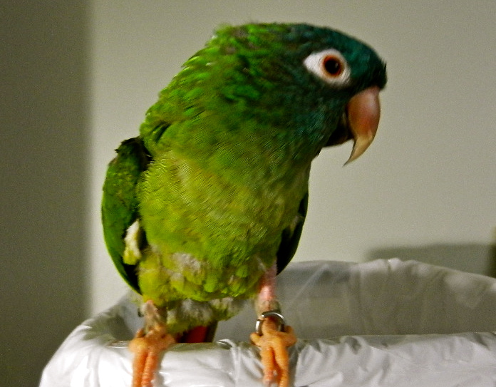 b0207361_833511.jpg