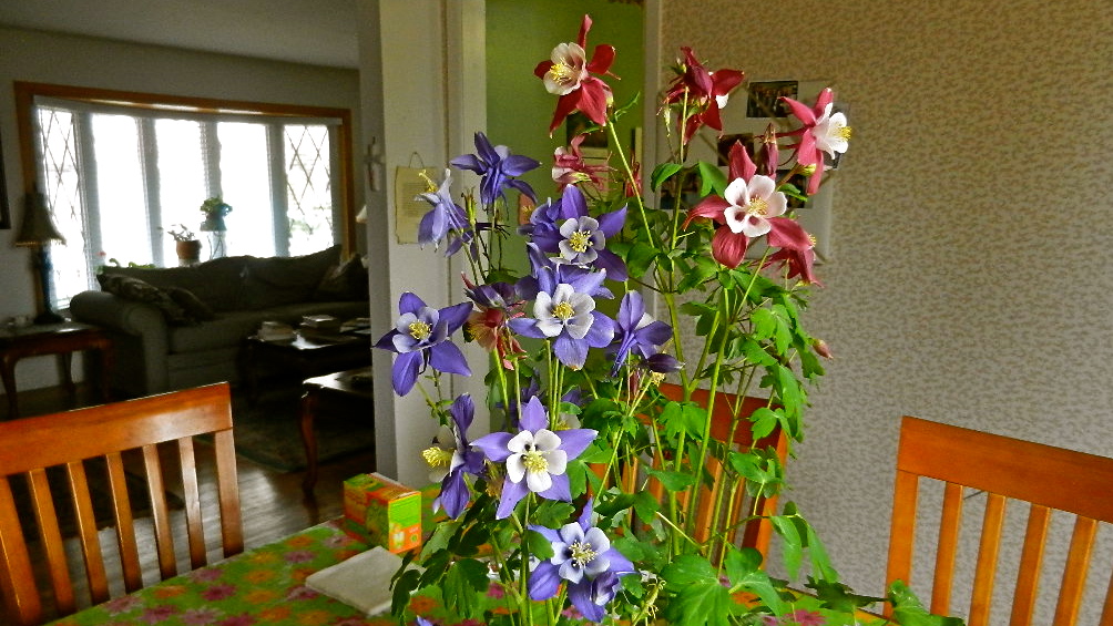 b0207361_875829.jpg