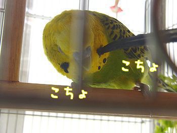 f0196665_2273338.jpg