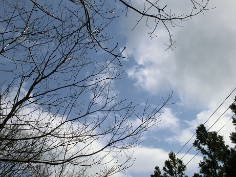b0178466_927112.jpg
