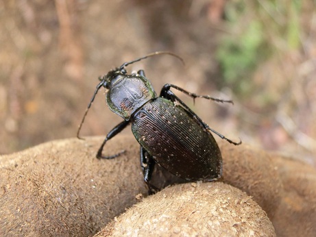 b0178466_9304117.jpg