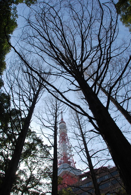 b0174068_23493754.jpg