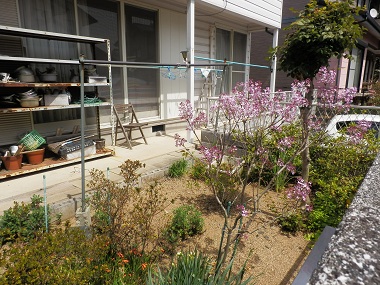 c0042869_7131826.jpg