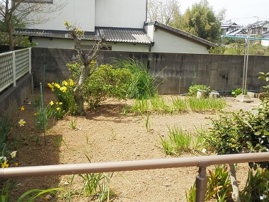c0042869_713744.jpg