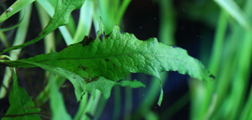 f0224970_20514349.jpg