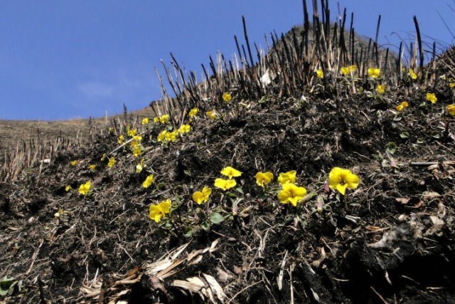 c0248473_2045361.jpg