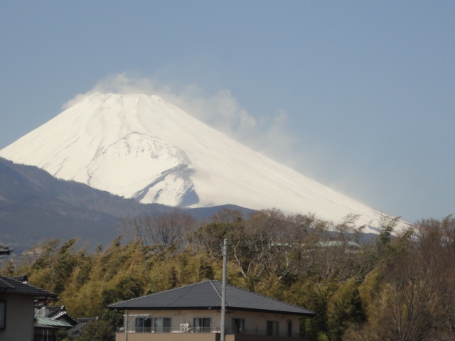 d0109373_1347257.jpg