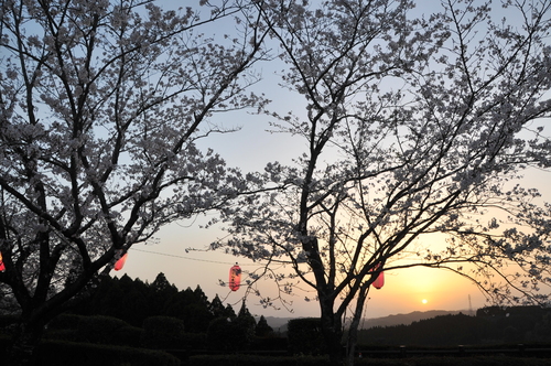 a0043276_4413879.jpg