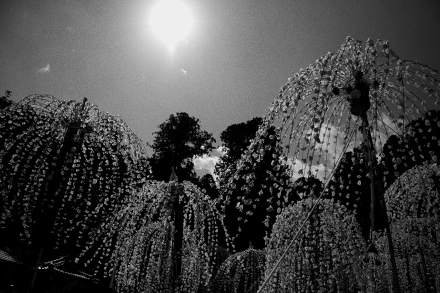 c0196076_2194784.jpg
