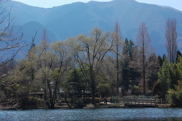 e0252879_18115617.jpg